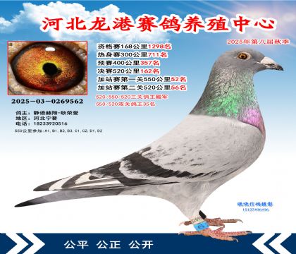 河北龍港加站雙關(guān)鴿王35名(決賽162名)