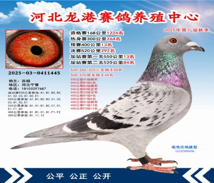河北龍港加站雙關(guān)鴿王44名