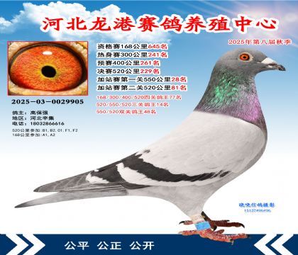 河北龍港加站雙關(guān)鴿王48名(決賽229名)