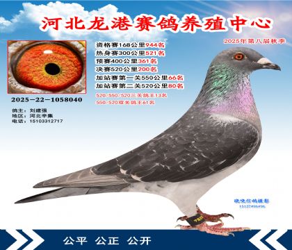 河北龍港加站雙關(guān)鴿王61名(決賽200名)