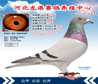 河北龍港加站雙關(guān)鴿王75名(決賽171名)