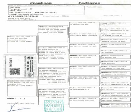 原舍血統(tǒng)書