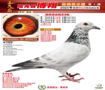 博翔特比四關(guān)鴿王9名