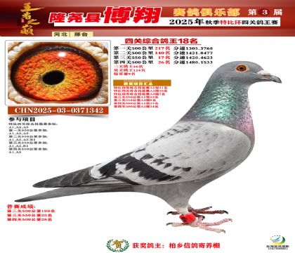 博翔特比四關(guān)鴿王18名