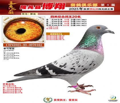 博翔特比四關(guān)鴿王20名