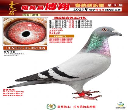 博翔特比四關(guān)鴿王21名