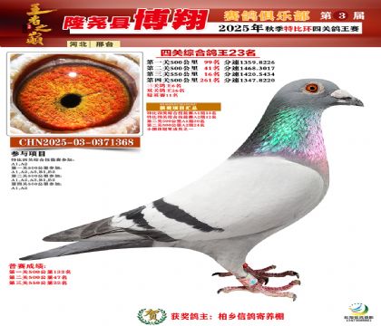 博翔特比四關(guān)鴿王23名
