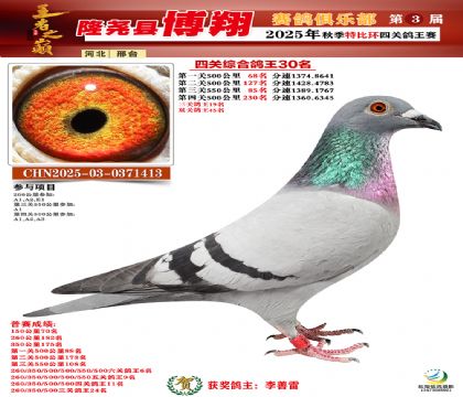 博翔特比四關(guān)鴿王30名