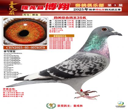博翔特比四關(guān)鴿王35名