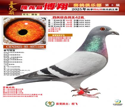 博翔特比四關(guān)鴿王42名