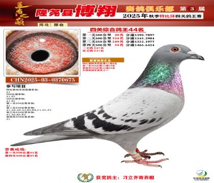 博翔特比四關(guān)鴿王44名