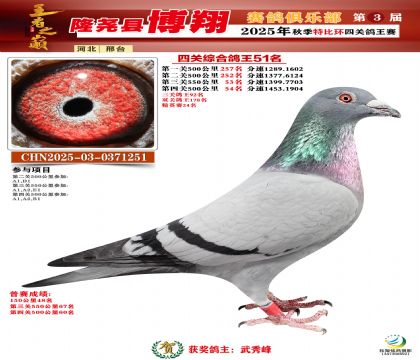 博翔特比四關(guān)鴿王51名