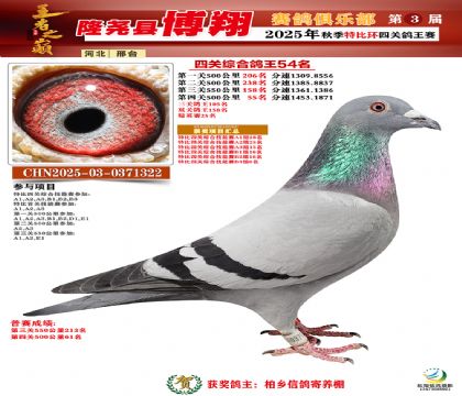 博翔特比四關(guān)鴿王54名