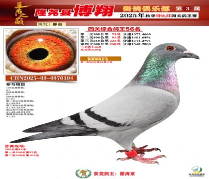 博翔特比四關(guān)鴿王56名