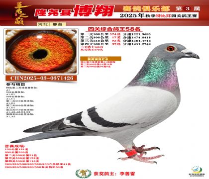 博翔特比四關(guān)鴿王58名