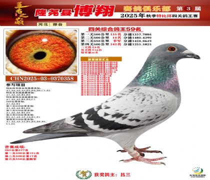 博翔特比四關(guān)鴿王59名