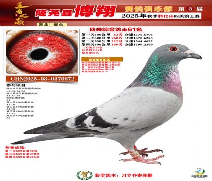 博翔特比四關(guān)鴿王61名