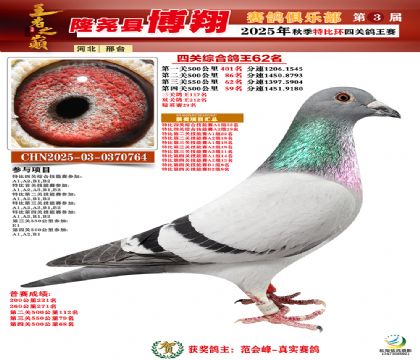 博翔特比四關(guān)鴿王62名