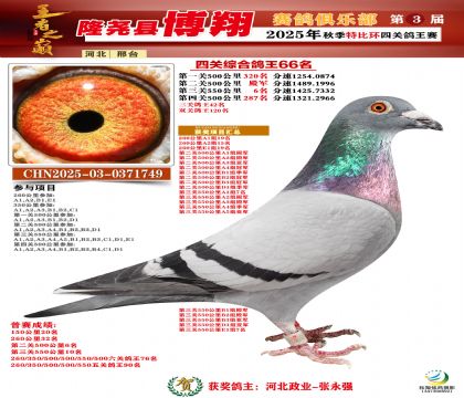 博翔特比四關(guān)鴿王66名