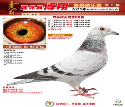 博翔特比四關(guān)鴿王68名