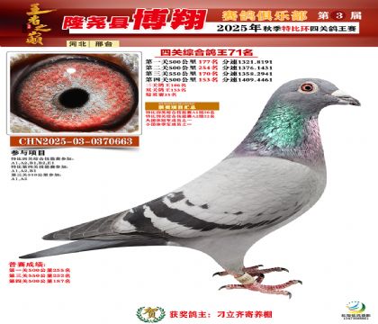 博翔特比四關(guān)鴿王71名