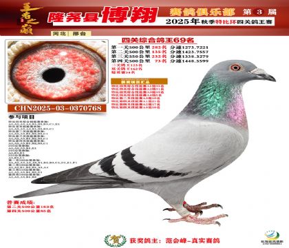 博翔特比四關(guān)鴿王69名