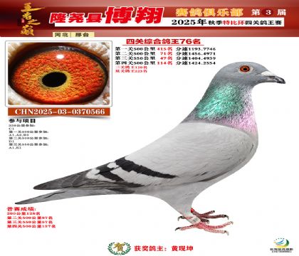 博翔特比四關(guān)鴿王76名