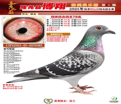 博翔特比四關(guān)鴿王78名