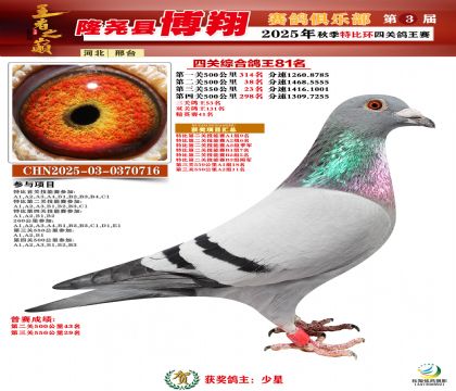 博翔特比四關(guān)鴿王81名