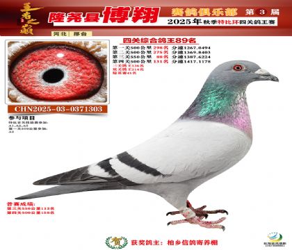 博翔特比四關(guān)鴿王89名
