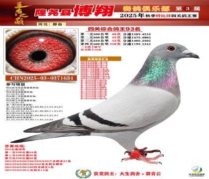 博翔特比四關(guān)鴿王93名