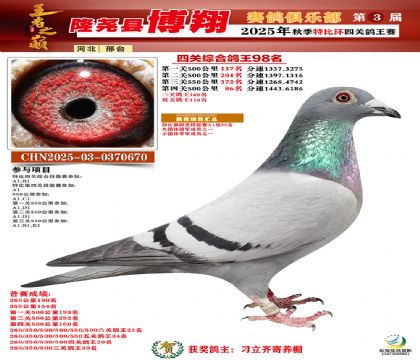博翔特比四關(guān)鴿王98名