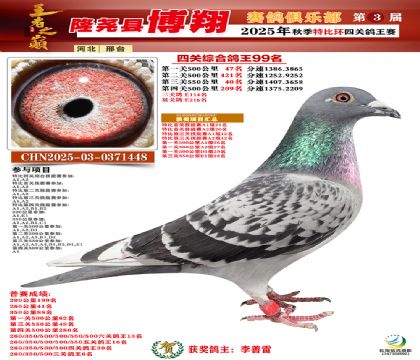 博翔特比四關(guān)鴿王99名