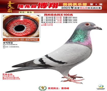 博翔特比四關(guān)鴿王106名