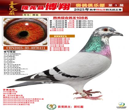 博翔特比四關(guān)鴿王108名