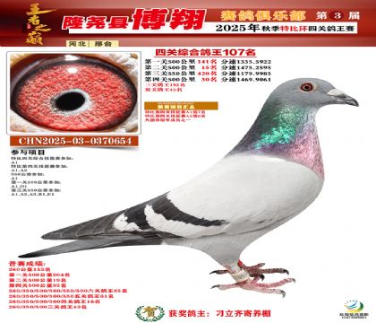 博翔特比四關(guān)鴿王107名