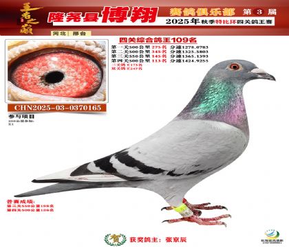 博翔特比四關(guān)鴿王109名
