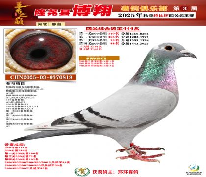 博翔特比四關(guān)鴿王111名