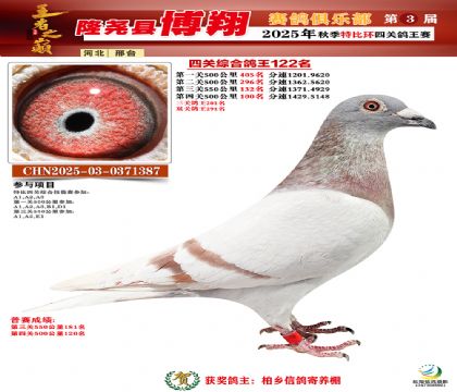 博翔特比四關(guān)鴿王122名