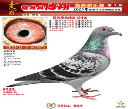 博翔特比四關(guān)鴿王124名
