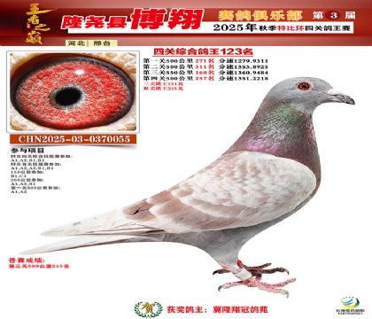 博翔特比四關(guān)鴿王123名