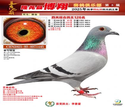 博翔特比四關(guān)鴿王126名