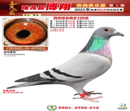 博翔特比四關(guān)鴿王130名