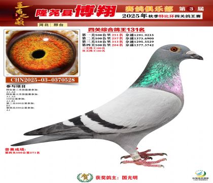 博翔特比四關(guān)鴿王131名