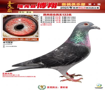 博翔特比四關(guān)鴿王133名