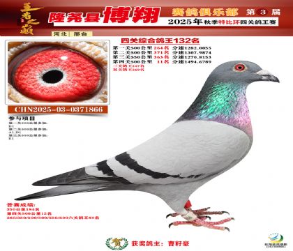 博翔特比四關(guān)鴿王132名