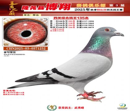 博翔特比四關(guān)鴿王135名