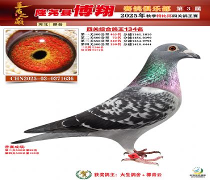 博翔特比四關(guān)鴿王134名