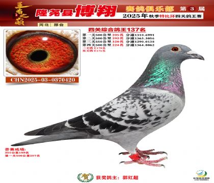 博翔特比四關(guān)鴿王137名