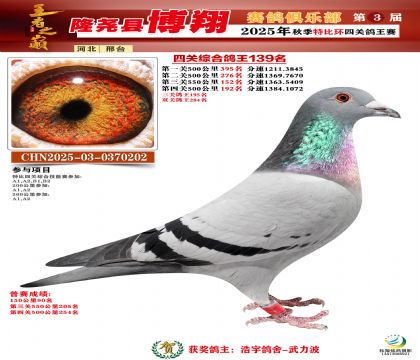 博翔特比四關(guān)鴿王139名